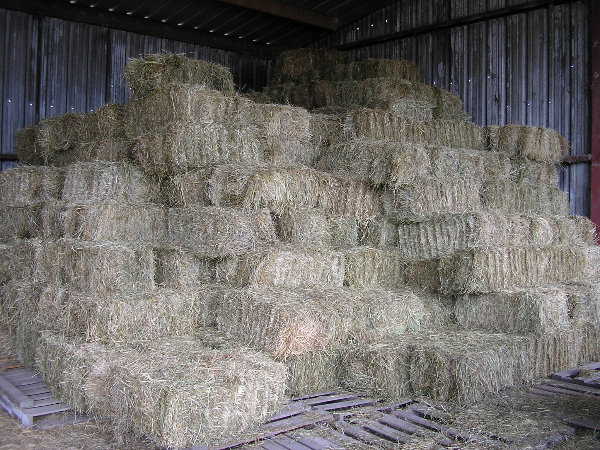 HAY SALES